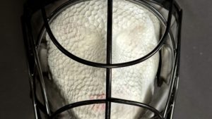 JMC Face Mask - Grill